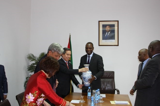 Party official visits Mozambique - ảnh 1